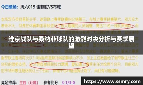维京战队与桑纳菲球队的激烈对决分析与赛季展望