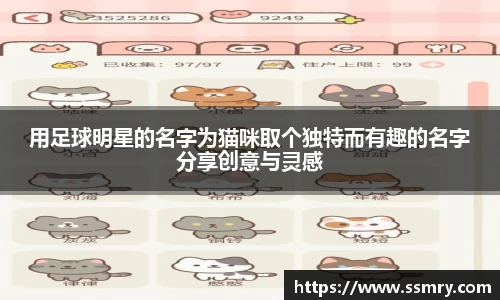 用足球明星的名字为猫咪取个独特而有趣的名字分享创意与灵感
